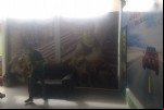 Foto 10