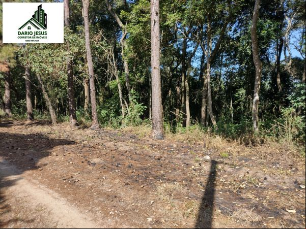 Terreno para forma