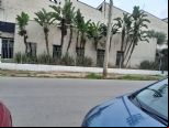 Foto Destaque