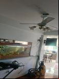 Foto do Im