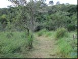 Foto do Im